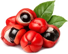 Metaboryl Pro – guarana, naturalne źródło kofeiny