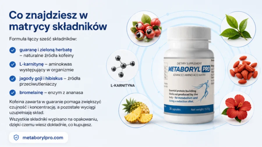 Metaboryl Pro – składniki formuły w kapsułce